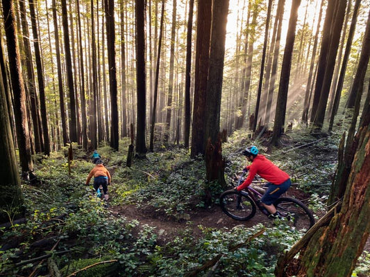 How to Tell When Your Brake Pads Are Worn (And When to Replace Them) - Loam Goat