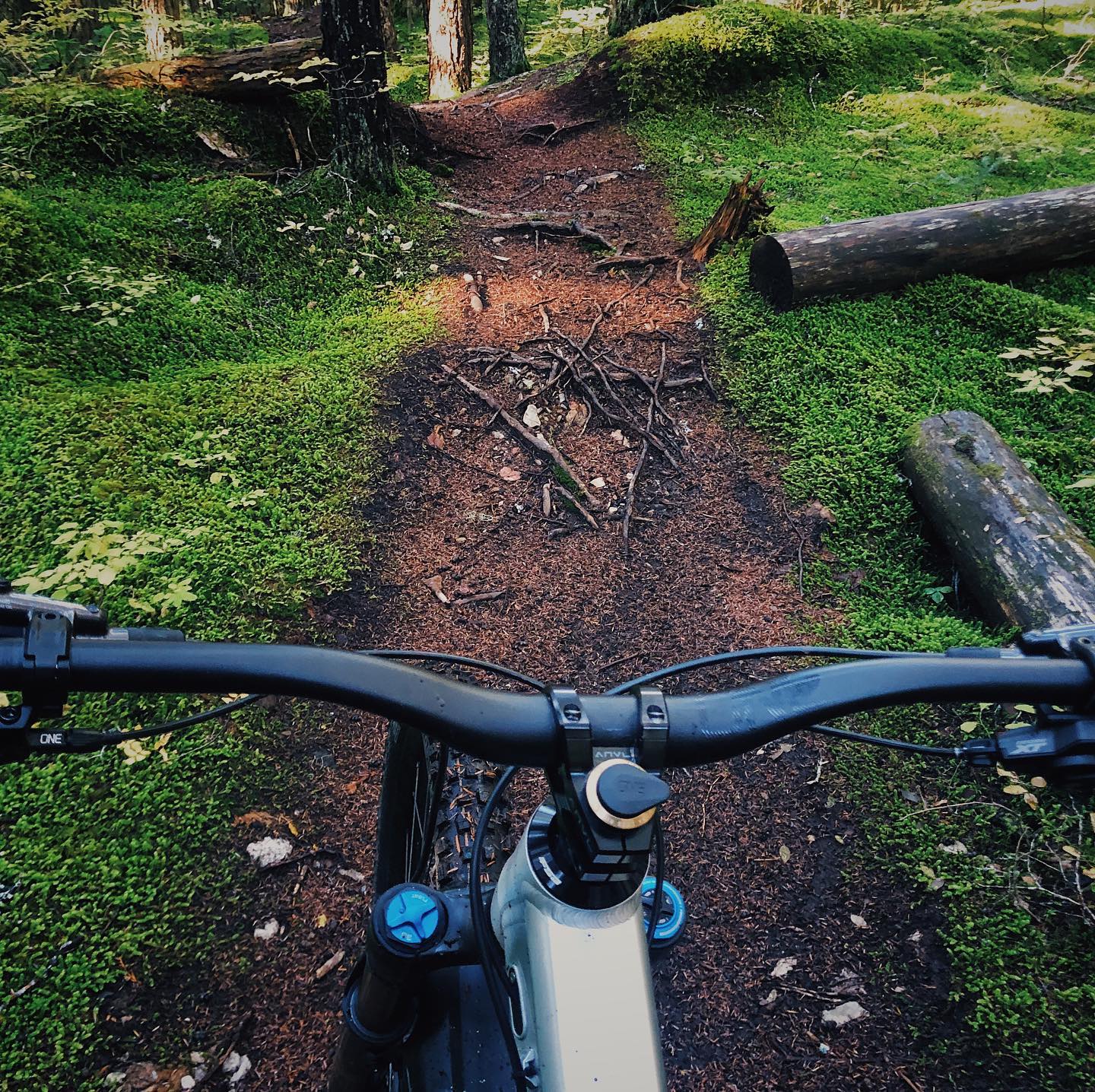 Spring Trail R Spring Trail Prep Checklist: Get Your Bike Ready for Riding Season ...
