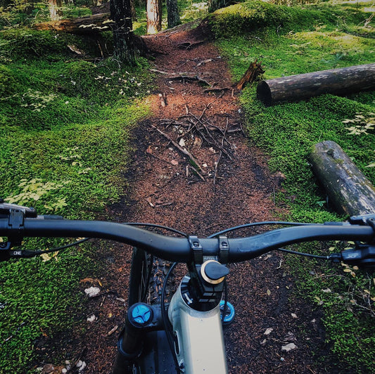 Spring Trail Prep Checklist: Get Your Bike Ready for Riding Season - Loam Goat
